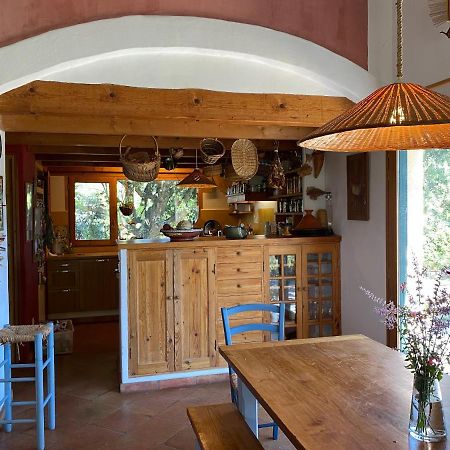 Cote Chenes Verts - Chambres D'Hotes Viols-en-Laval Εξωτερικό φωτογραφία