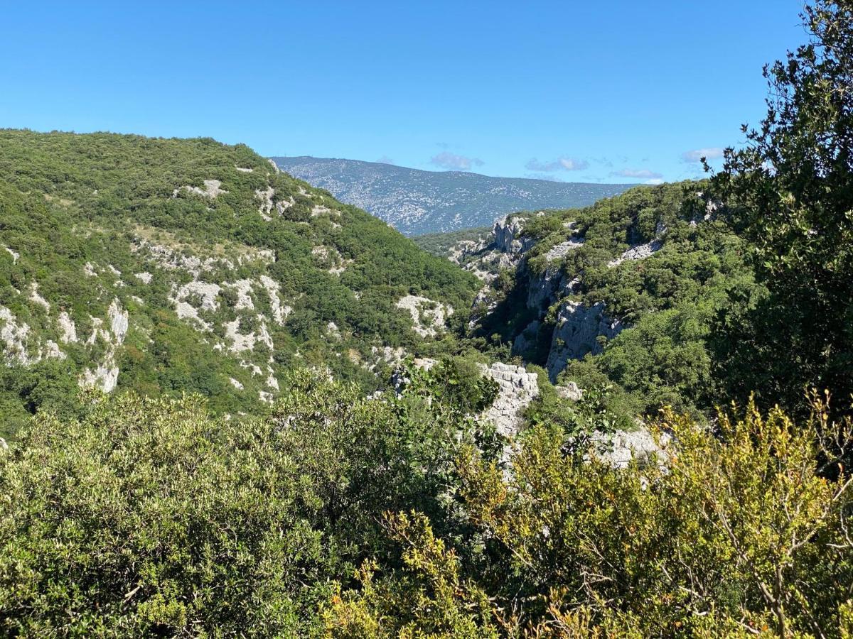 Cote Chenes Verts - Chambres D'Hotes Viols-en-Laval Εξωτερικό φωτογραφία