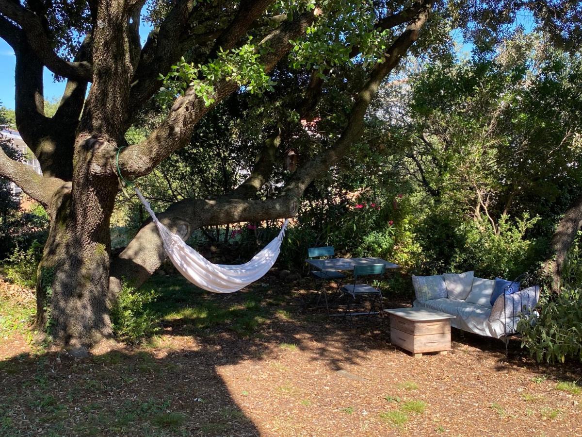 Cote Chenes Verts - Chambres D'Hotes Viols-en-Laval Εξωτερικό φωτογραφία